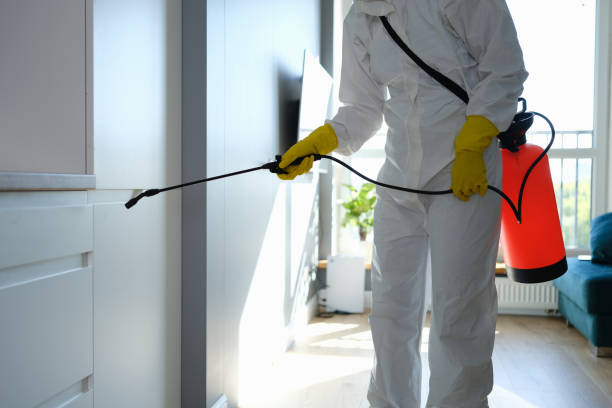 Best Commercial Mold Removal  in Reedsville, WI
