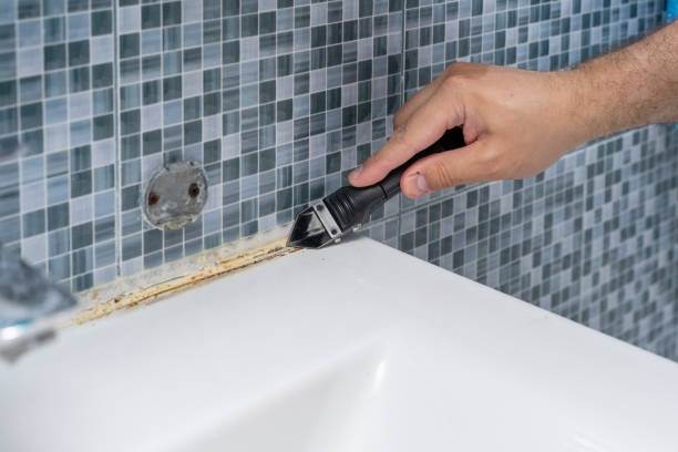 Best Professional Mold Removal  in Reedsville, WI